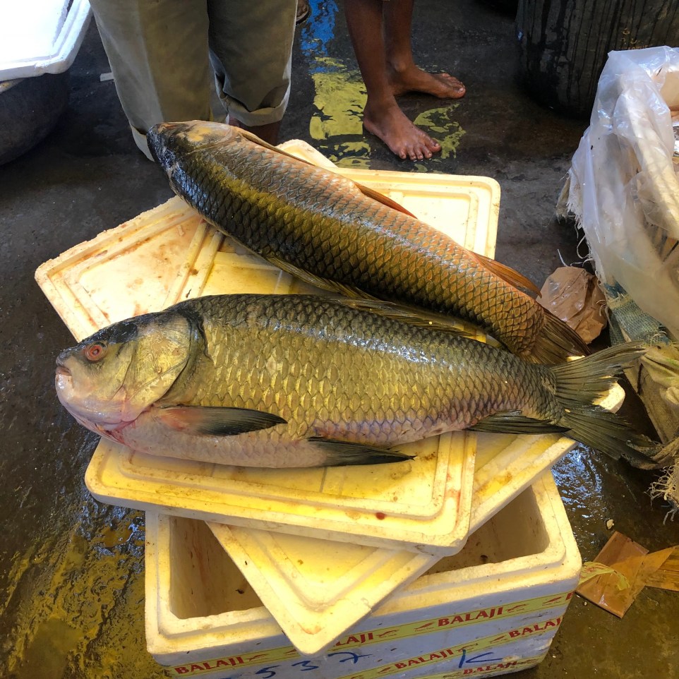 Image forFish Market at Guwahati