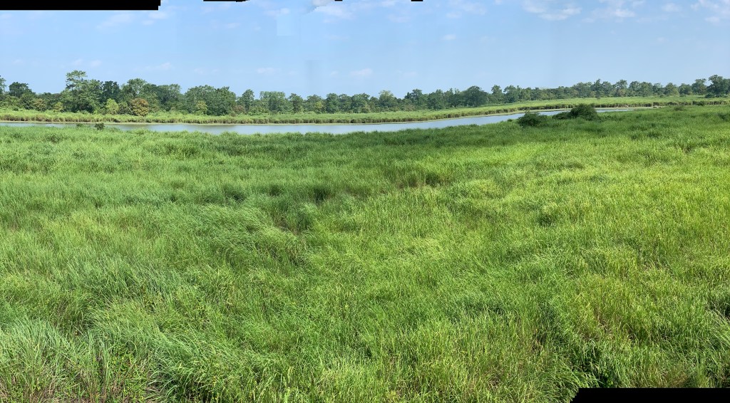 Travels to the North East : Bird watching by&nbsp;Jeep