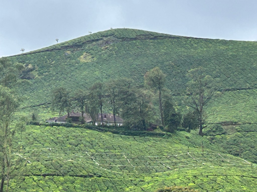 Day trip to&nbsp;Munnar