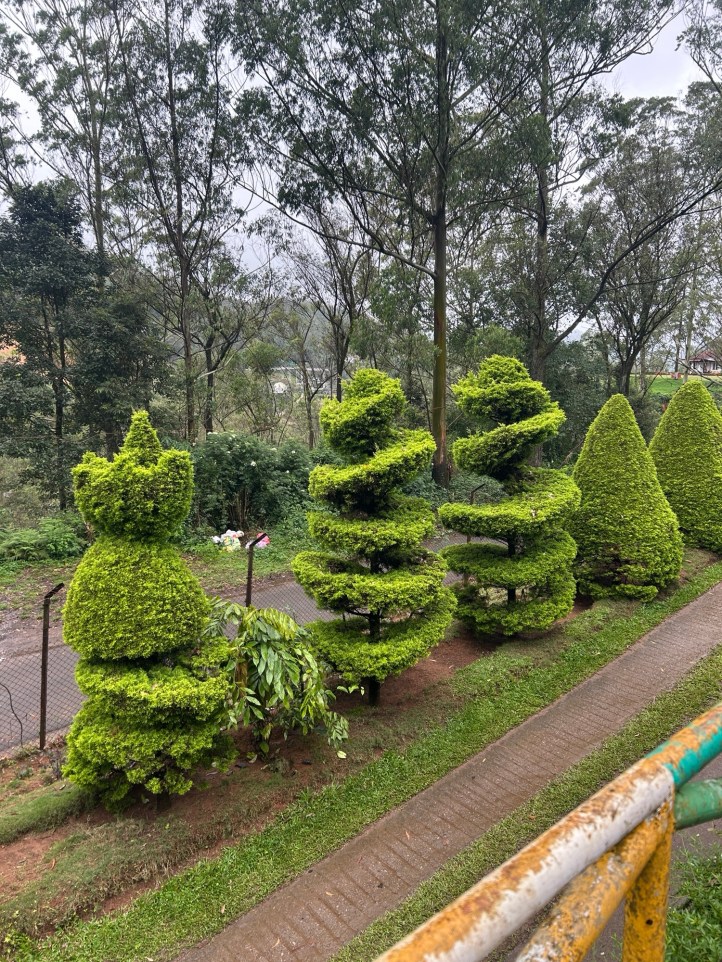 Enchanting topiary on the boundary