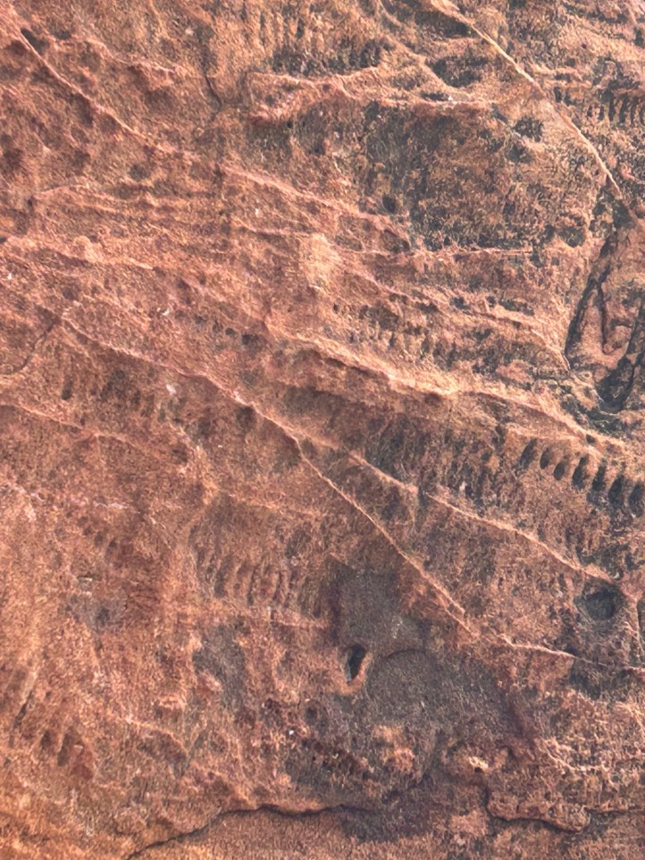 The lines marking attence