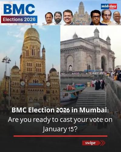 Municipal Elections